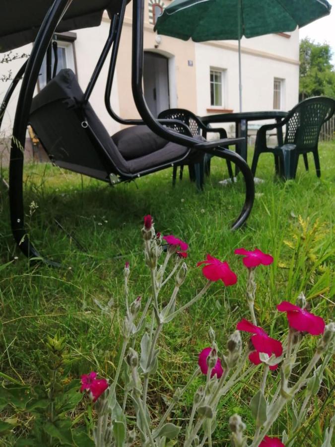 Apartament Cicha Woda Kudowa-Zdroj Bagian luar foto
